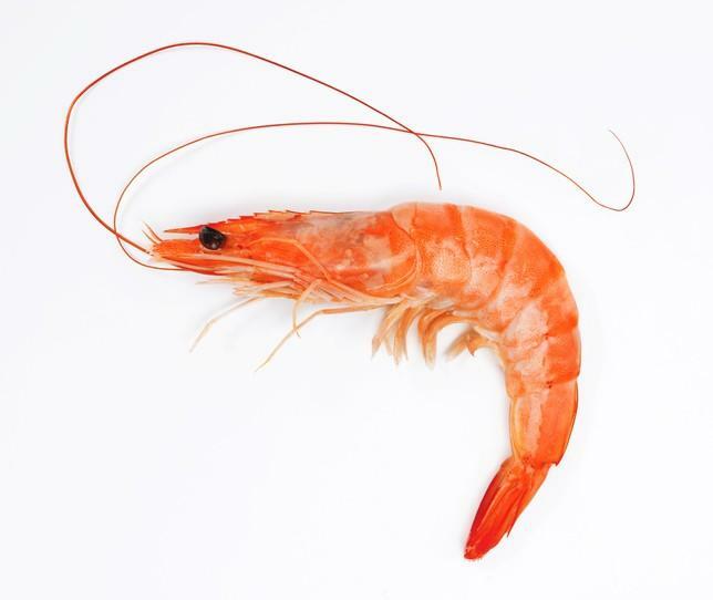 Whole Shrimp(0.5lb)